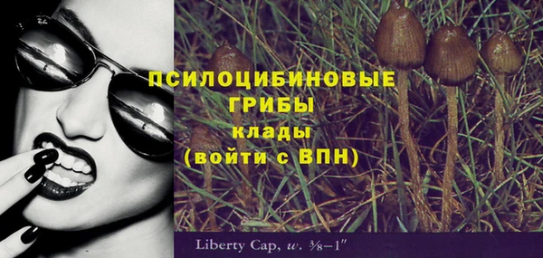 мяу мяу мука Алексин