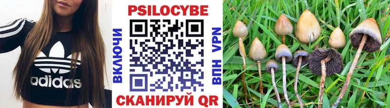 Псилоцибиновые грибы GOLDEN TEACHER  MEGA рабочий сайт  Калач-на-Дону 