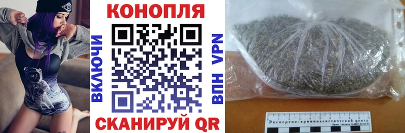 Бошки Шишки планчик Калач-на-Дону